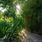 Botanica *